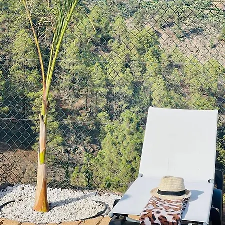 مكان تخييم Arico Cave Experience Anaterve سانتا كروز دي تينيريف